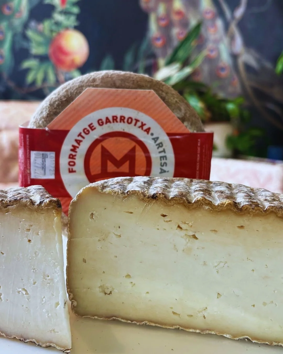 ✋ Raise your hand if you&rsquo;d like a Woodsy, Creamy Hunk&hellip;of Garrotxa!

🧀  One of our all-time faves, Garrotxa is a pasteurized goat&rsquo;s milk cheese from Catalonia, Spain. Enveloped within its velvety gray rind is an ivory-colored chees