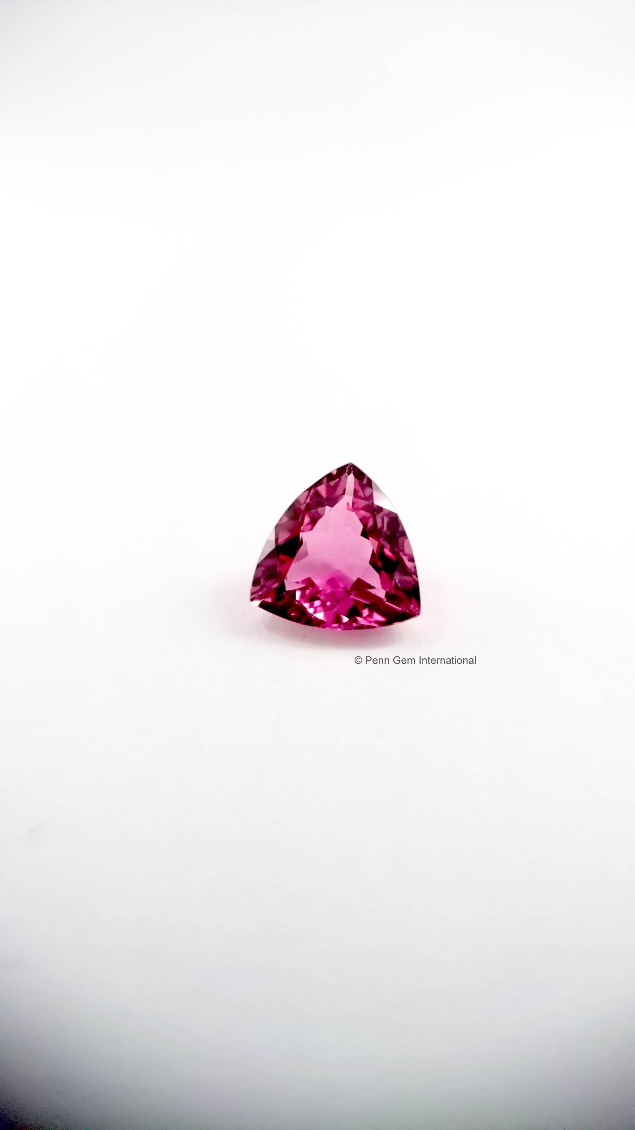 Pink Tourmaline Lot 745