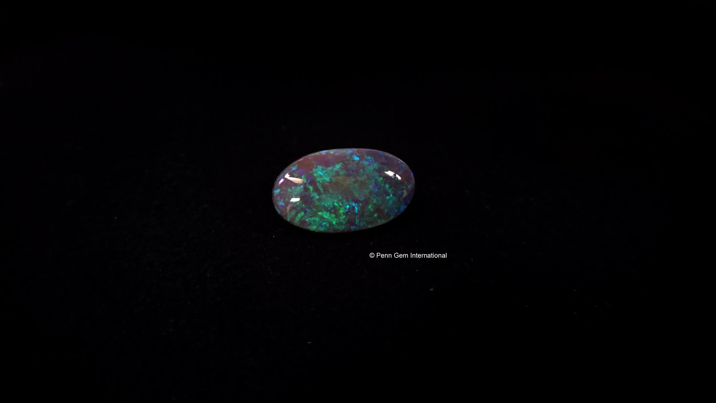 Black Opal Lot 1201