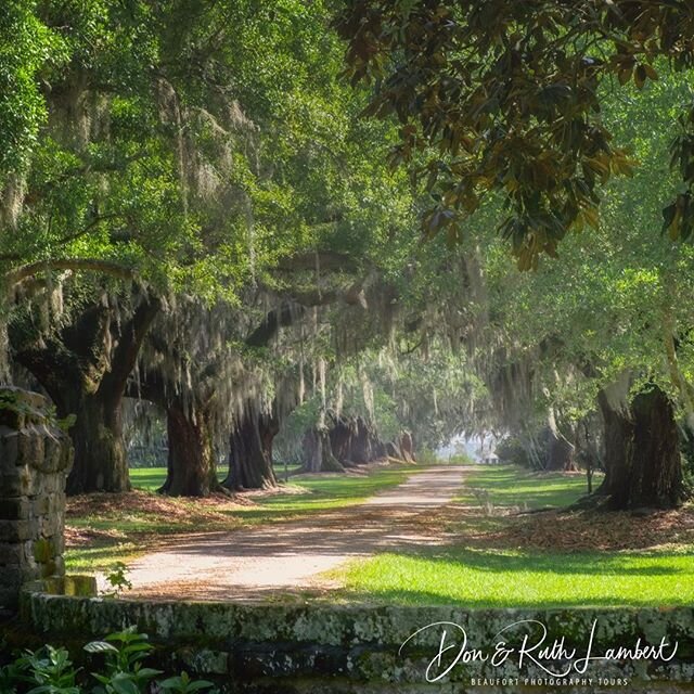 Lowcountry plantations are a window into our past.
Beaufort is rich in history, nature and small town southern charms .Put us high on your quarantine breakout locations.