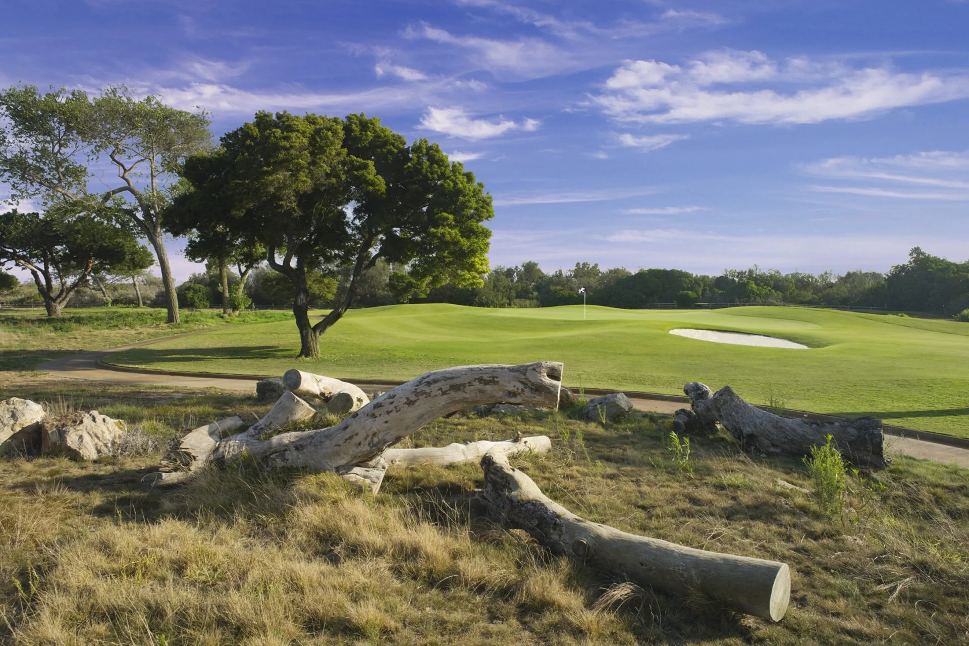 Major #3 Olivas Links  The Pacific Links Open