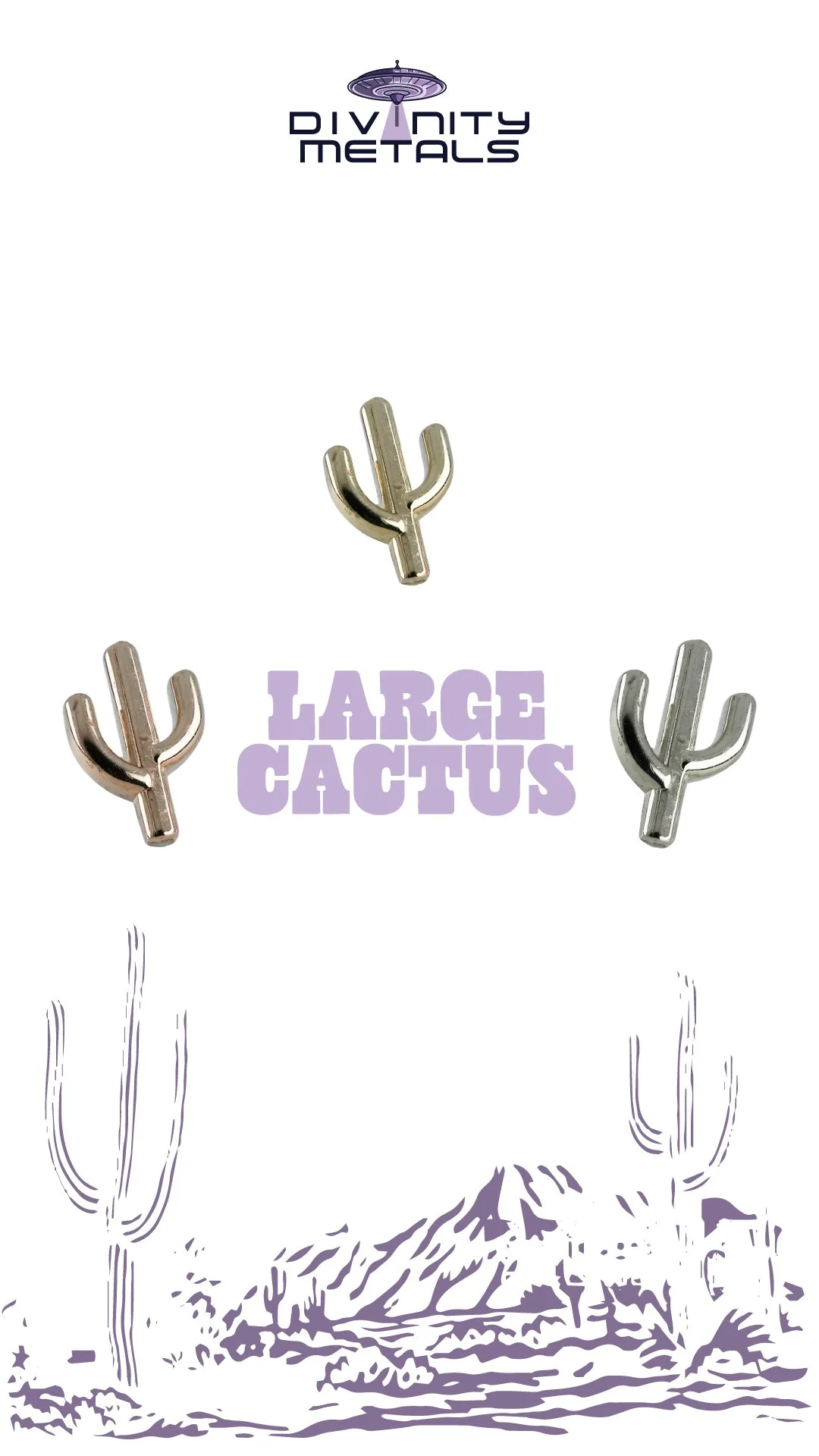 CACTUS2.jpg