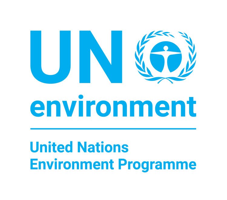 UNEPs-2020-Young-Champions-of-the-Earth-Award.jpg