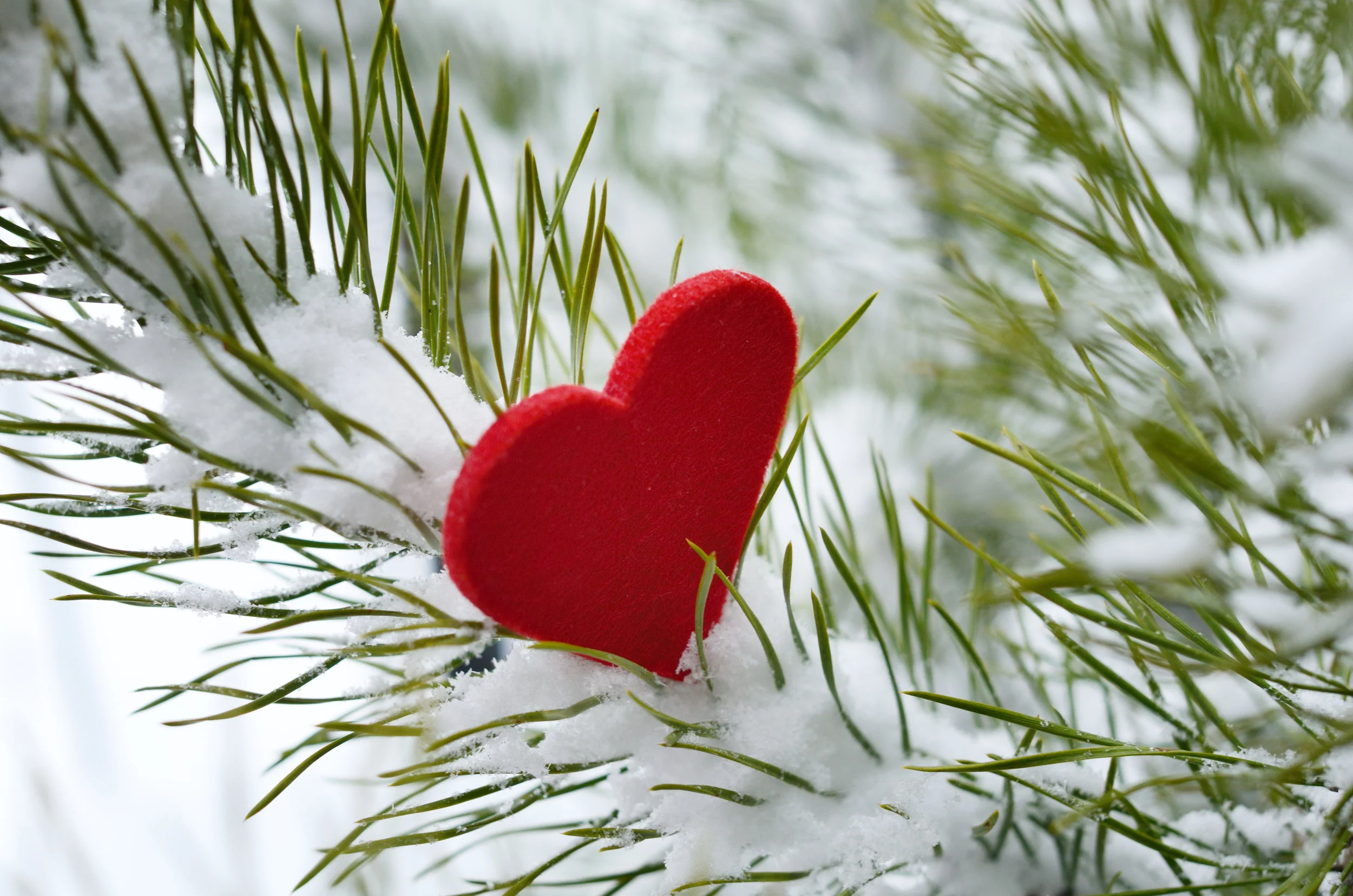 shutterstock_133226741.jpg