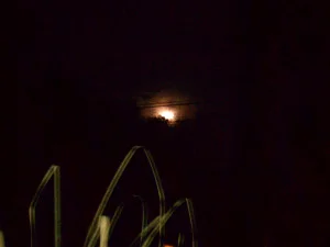 imag0568.jpg
