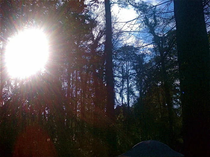 sun.jpg