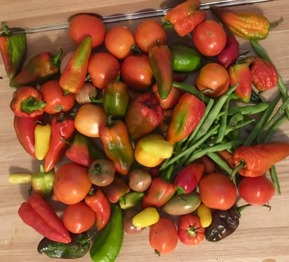 A little bit of everything!