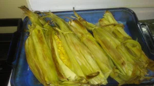 imag0089.jpg
