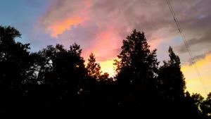 imag0279.jpg