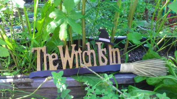 Witch in the Okra