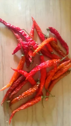 Dried cayennes ready for the smoker!