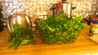 Lemon balm, oregano and basil.