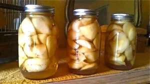 Pears from the tree.
