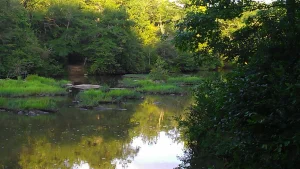 creekthree.jpg