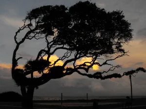 Jekyll Island, Ga. My healing place.