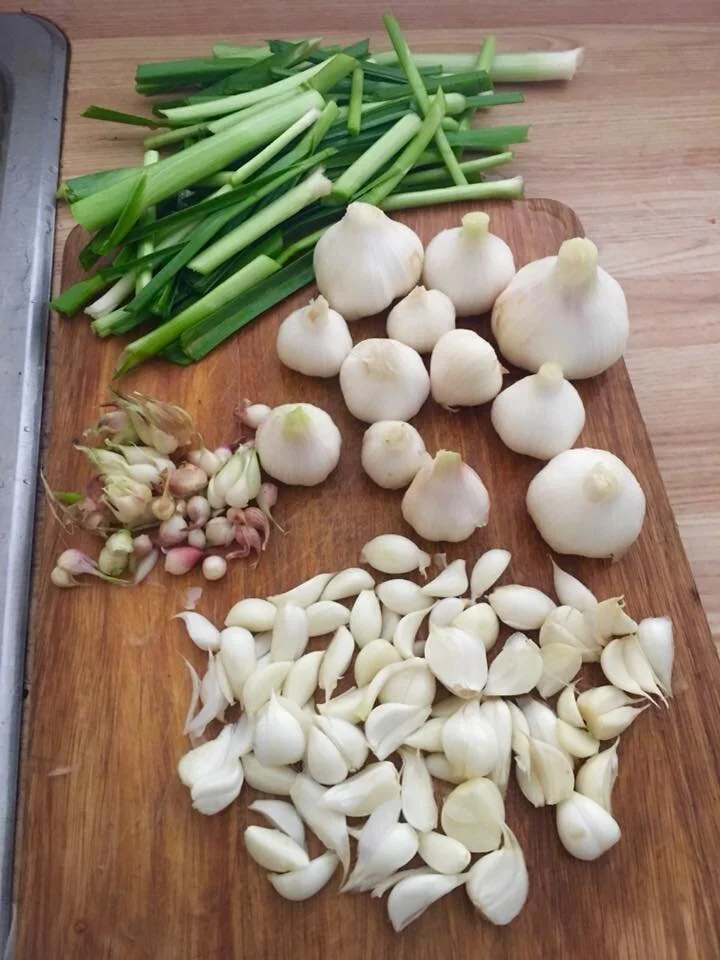 Gorgeous garlic.jpg