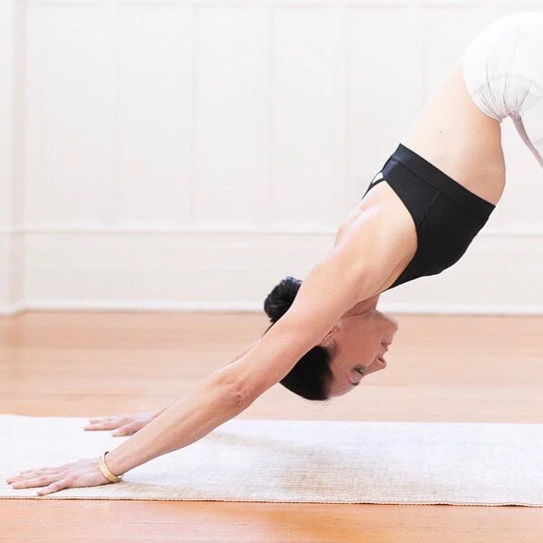 ADHO MUKA SVANASANA. Downward facing dog. Upside down, right side up or just right?