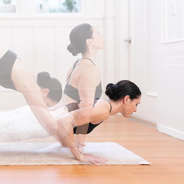 VINYASA. The style of yoga linking movement and breath. It also means to place with care. Something to consider when we flow through space on and off the mat.