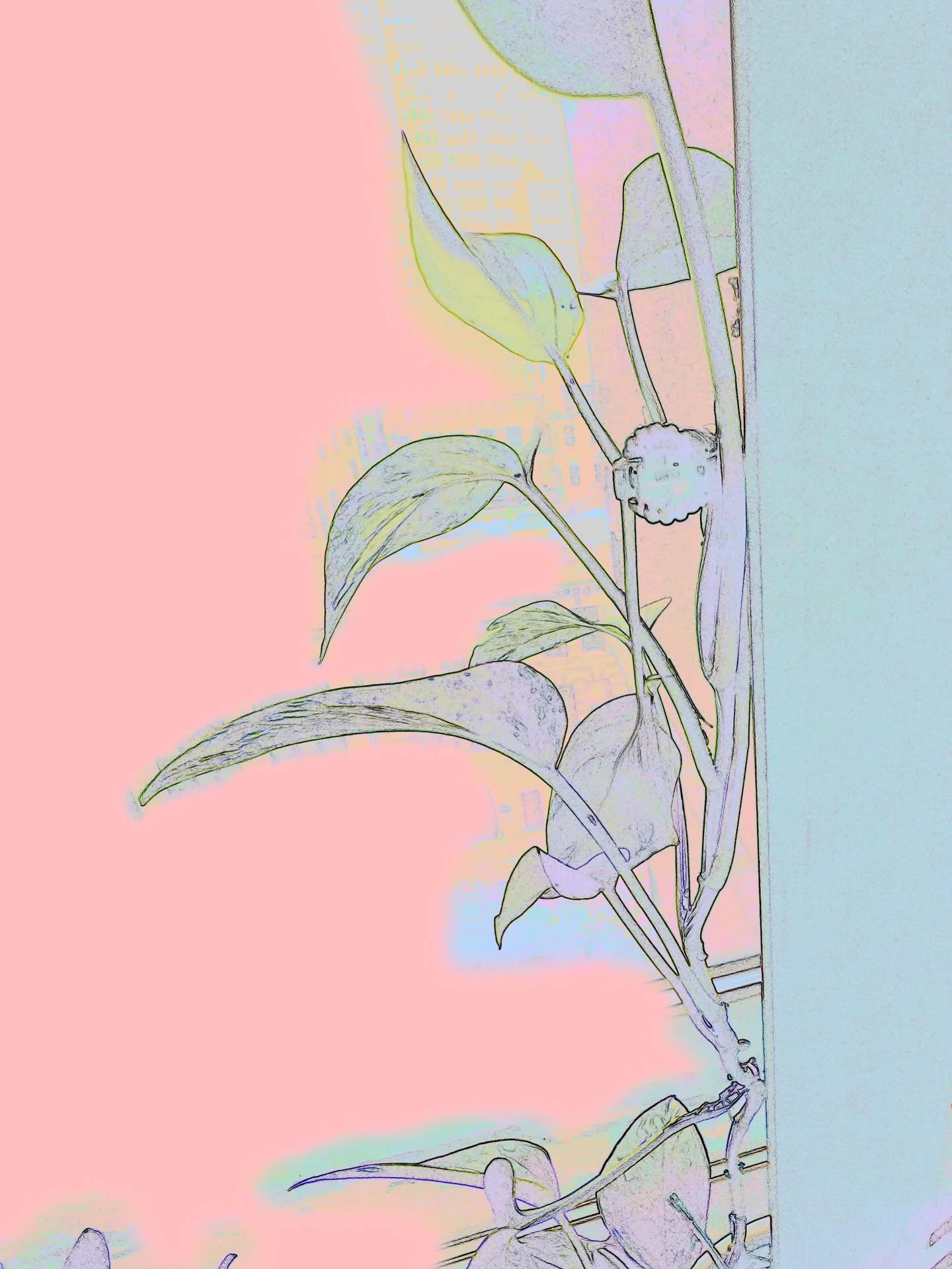 Reaching Out
by NISI ARIANA