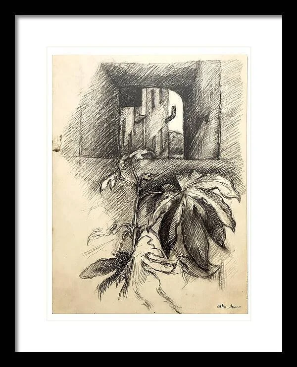 the-walk-nisi-ariana-black-frame-main.jpg