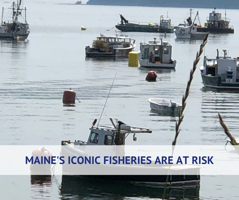 Meet Maine's Fishing Community (10).jpg