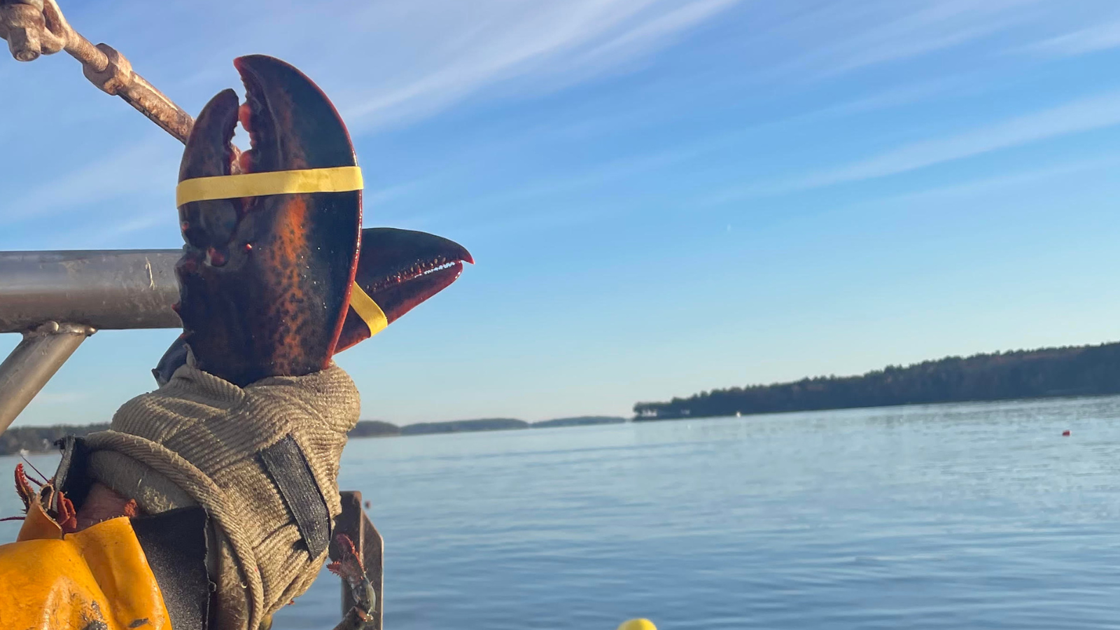 Untitled design-10.png