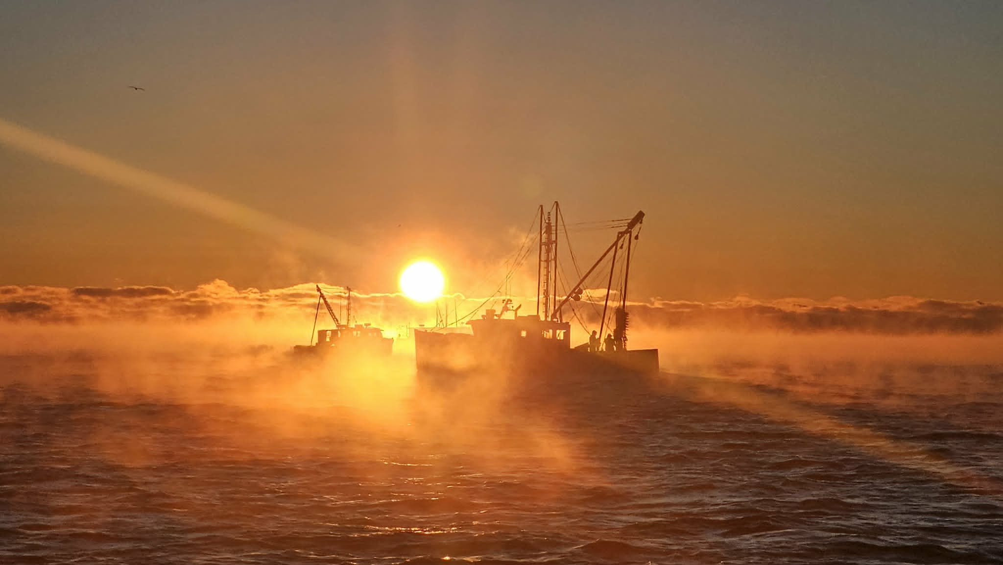 js scallop boat sunrise.jpeg