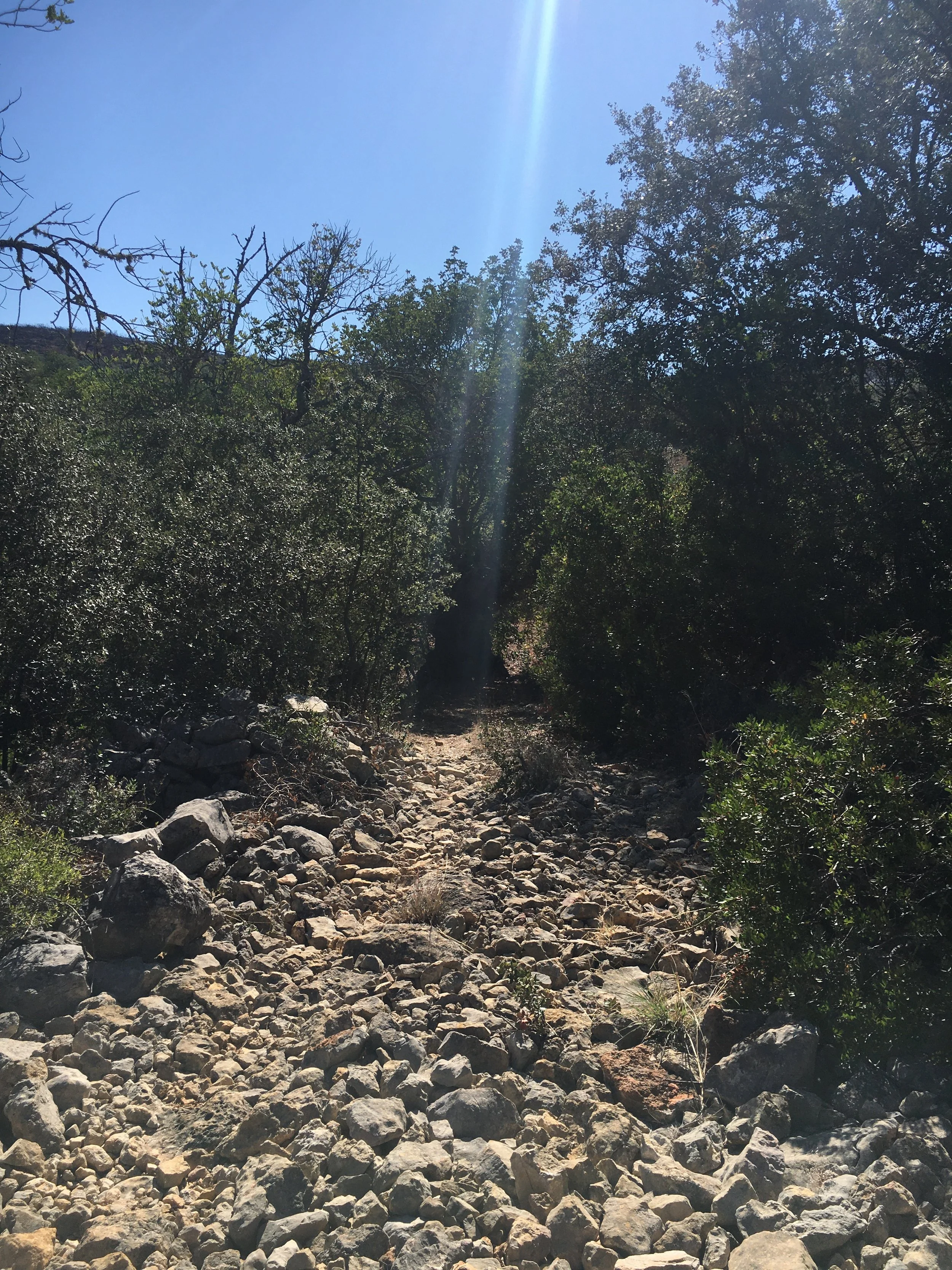 A Lesson In Resiliency