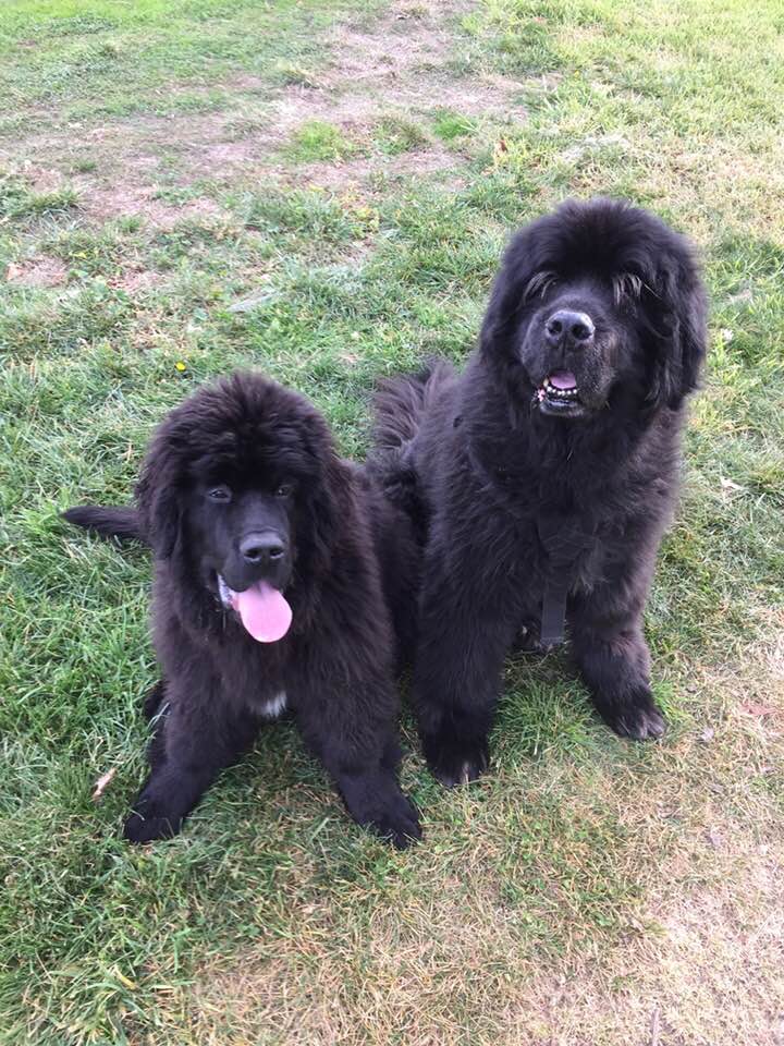 ami-and-gus-0.jpg