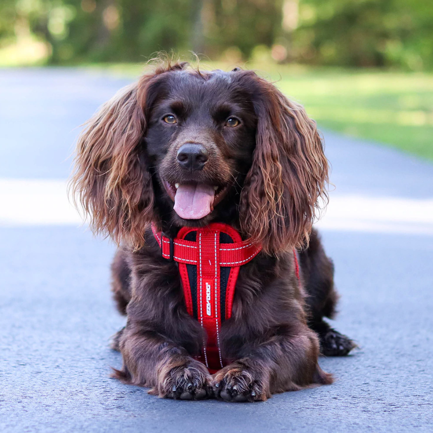 Red Large EzyDog Chest Plate Custom Fit Dog Harness