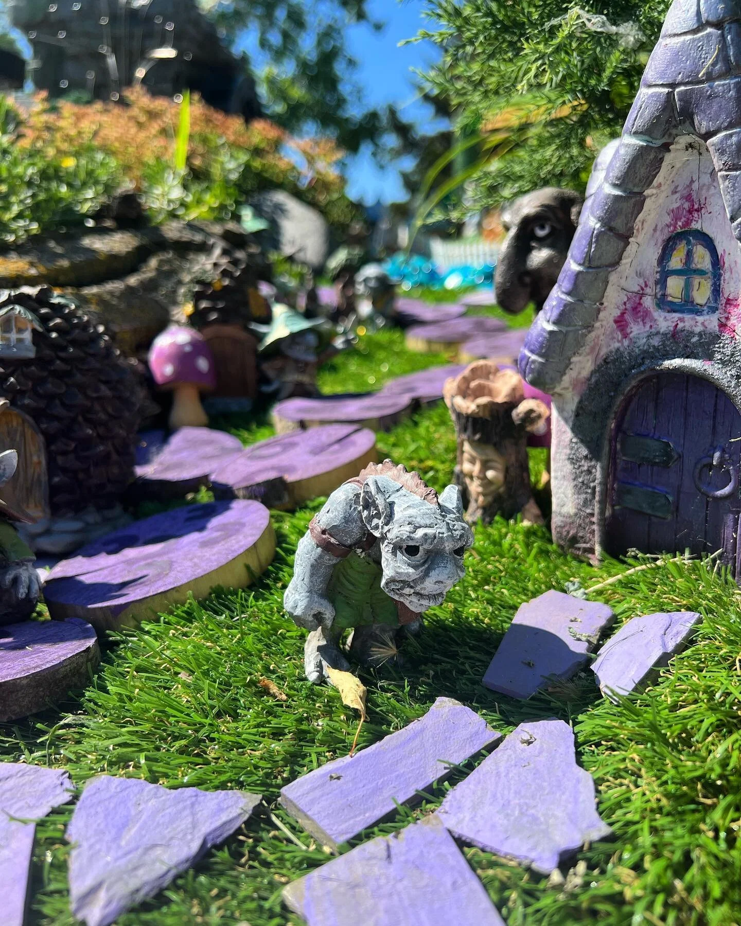 who are you looking at ? 🧌

#fairygarden #fairygardens #fairygardensofinstagram #troll #purple #trollville #hellothere