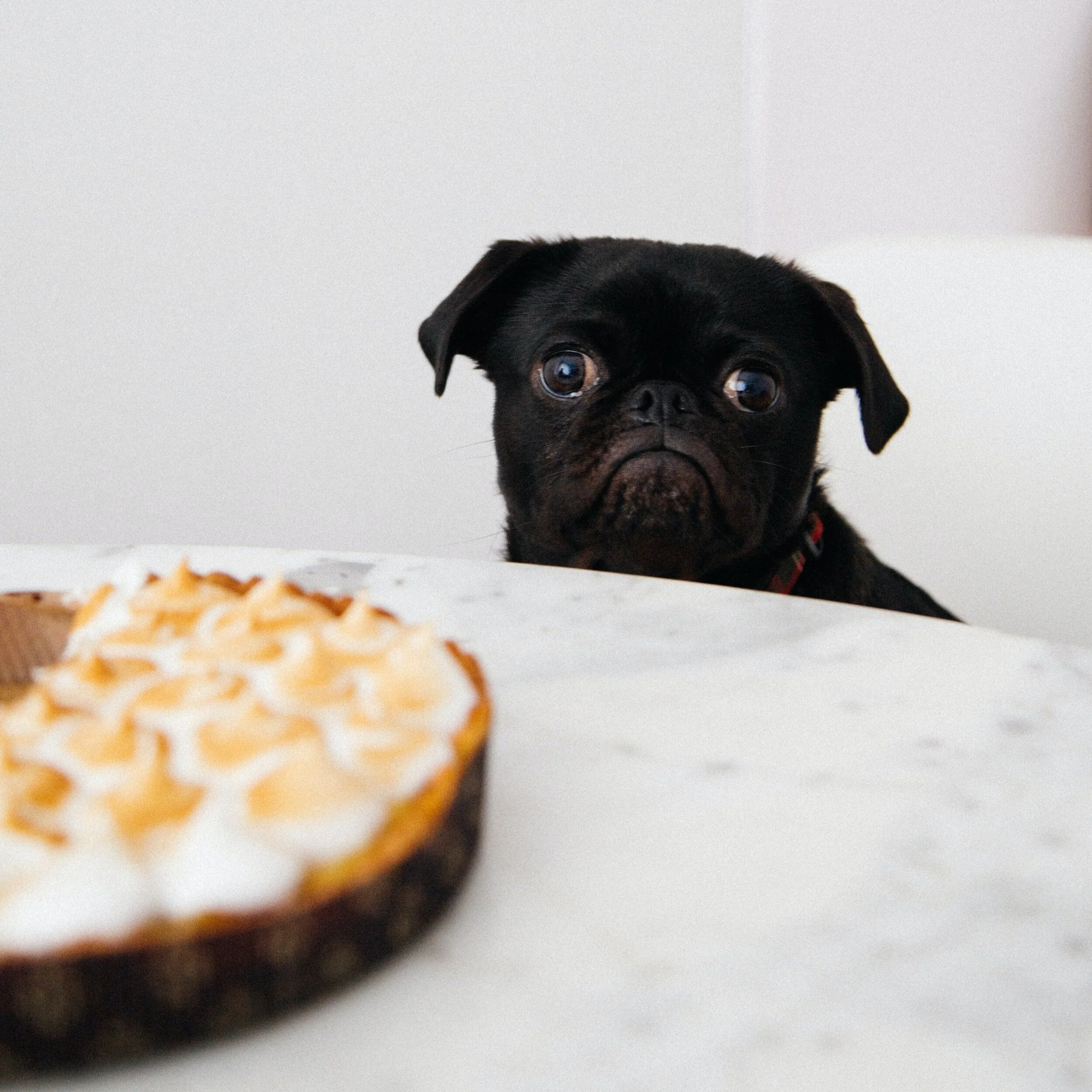 So, You Gained Some Weight During a Global Pandemic? Part 2