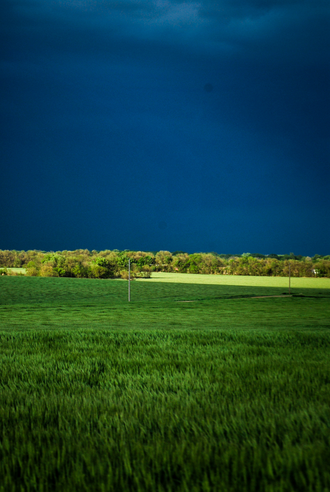 Lightroom edits- snow-0051.jpg
