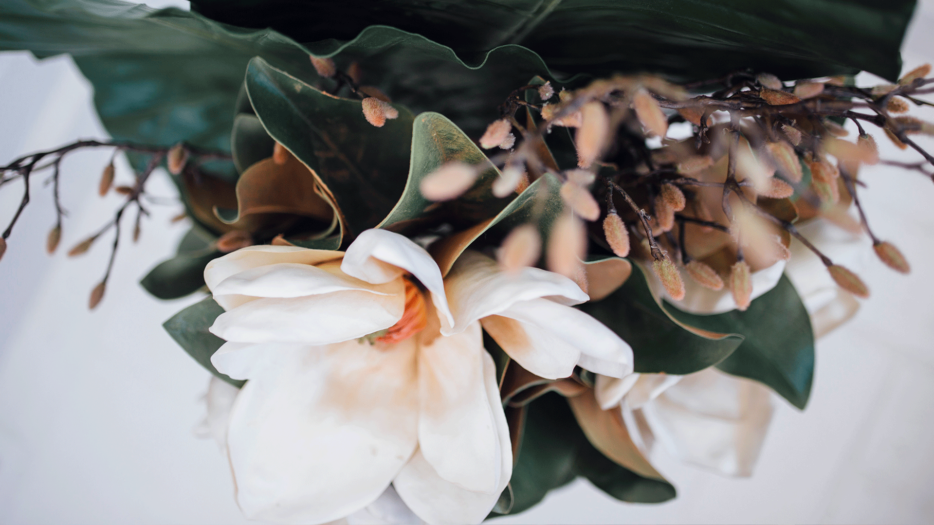 FloralInstinct-Magnolia.png