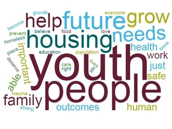 wordcloud+why+important.jpg
