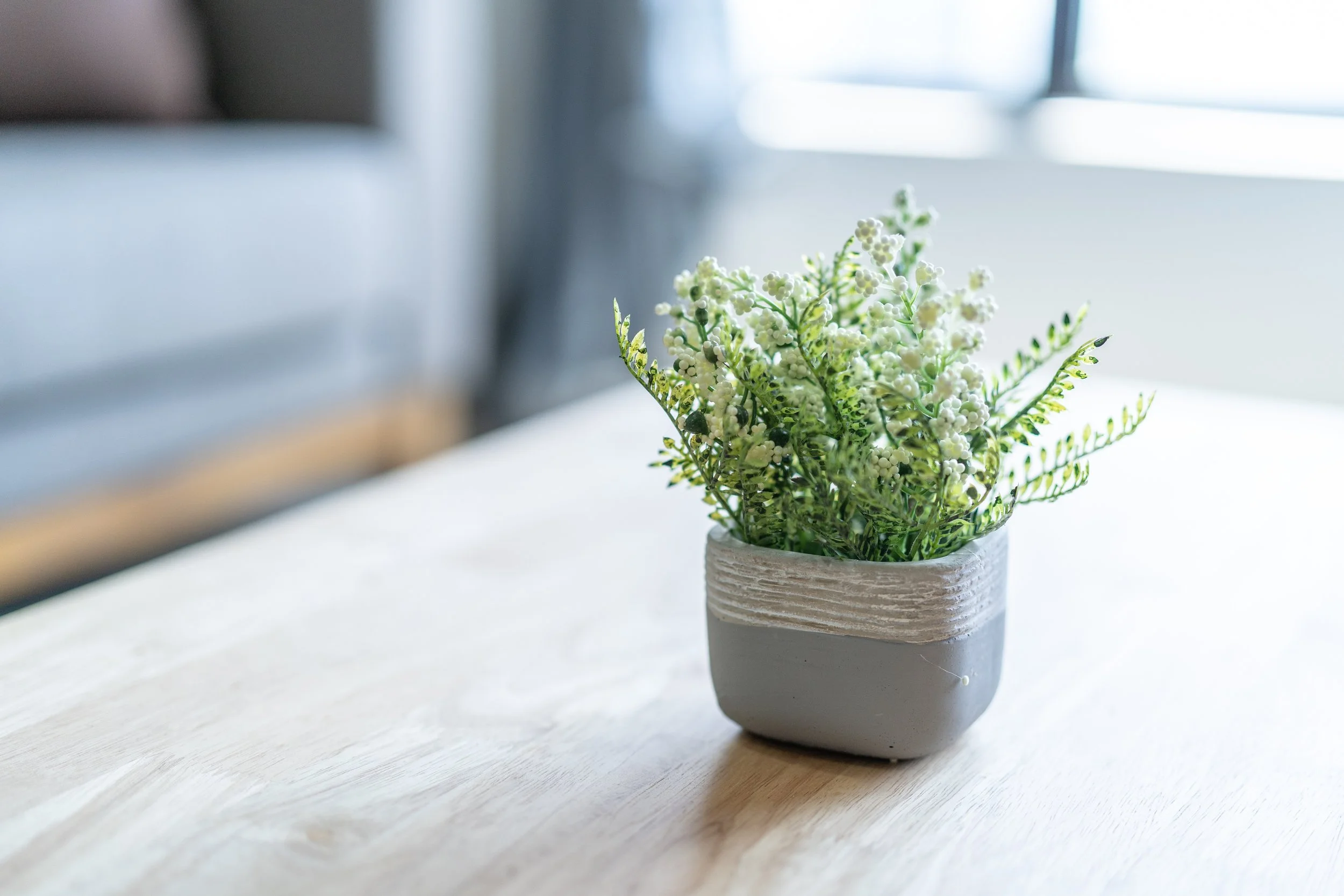MaxPixel.net-Table-Coffee-Sofa-Plants-Natural-Room-Green-Rest-3775892.jpg