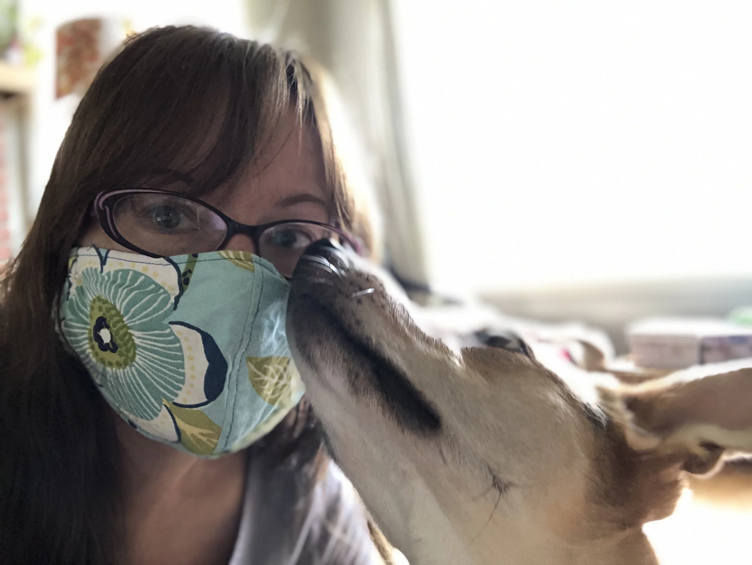 What a Year It Has Been