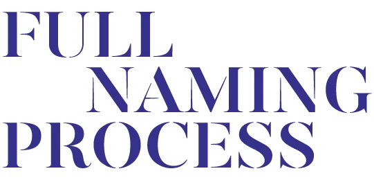 Naming_FullProcess.jpg