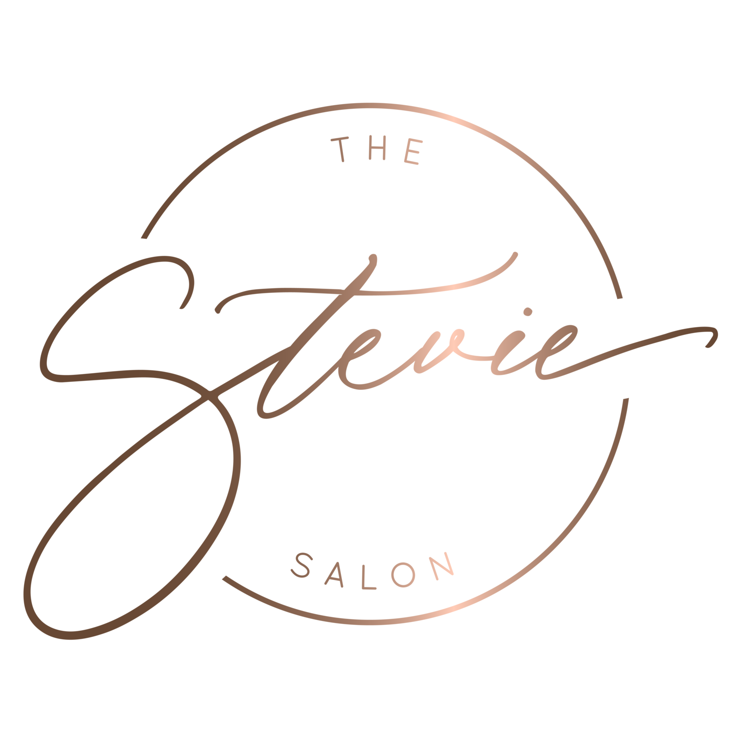 Book Your Appointment Today — Stevie The Salon - Santee's Top Hair Salon