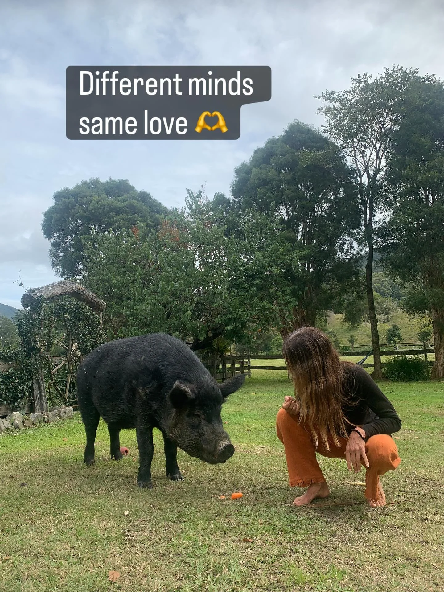 You can see the world through completely different eyes than me, and there’s still going to be just as much space for you in my heart . 
#lovewithoutjudgement #differentperspective #Heartspace #Acceptance #DifferentButLoved
