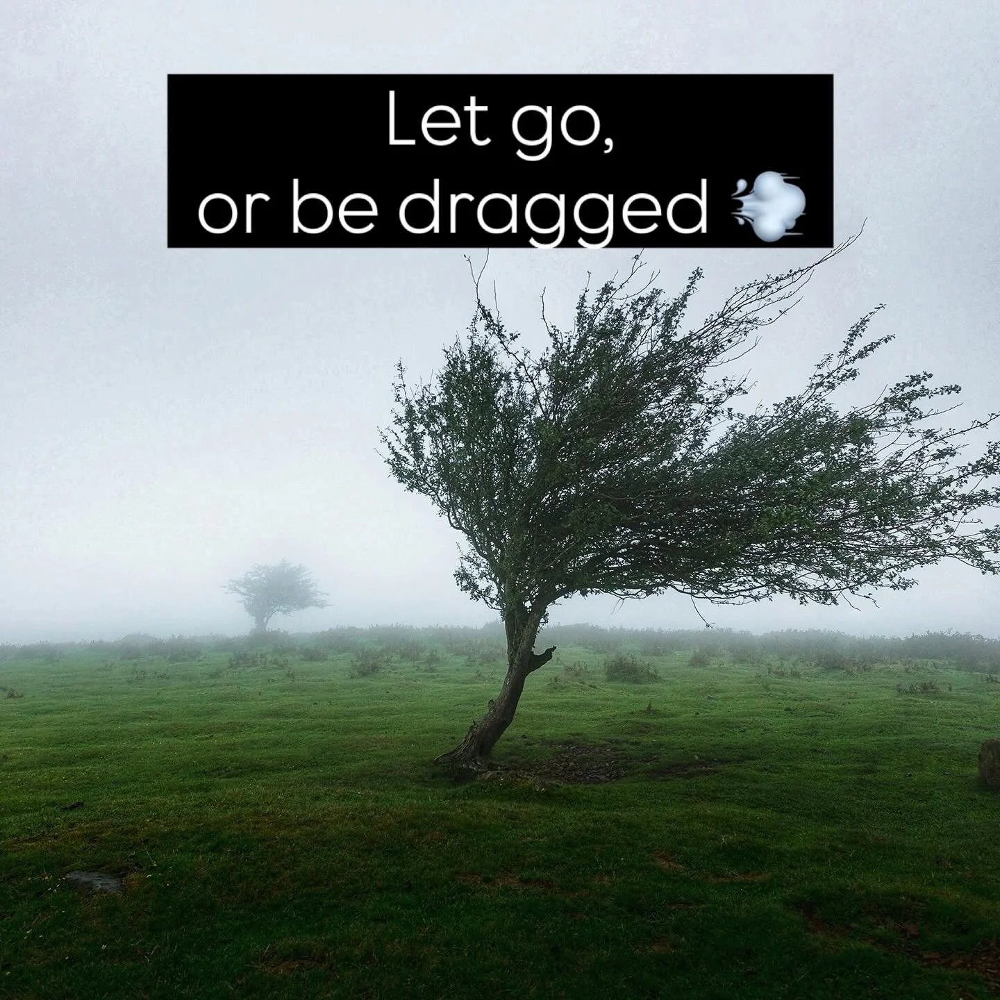 “Let go or be dragged. Life’s showing you the same lesson repeatedly? 
Your body’s holding the same tension patterns? 
The universe has a sense of humour - it’ll keep presenting the same growth opportunity until we’re