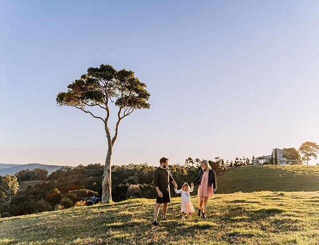 Weekend is calling for adventures!! This week started off in the best way photographing this gorgeous fam bam 💥 #family #familyphotoshoot #malenyphotoshoot #maleny #sunshinecoastfamilyphotographer #familyphotossunshinecoast