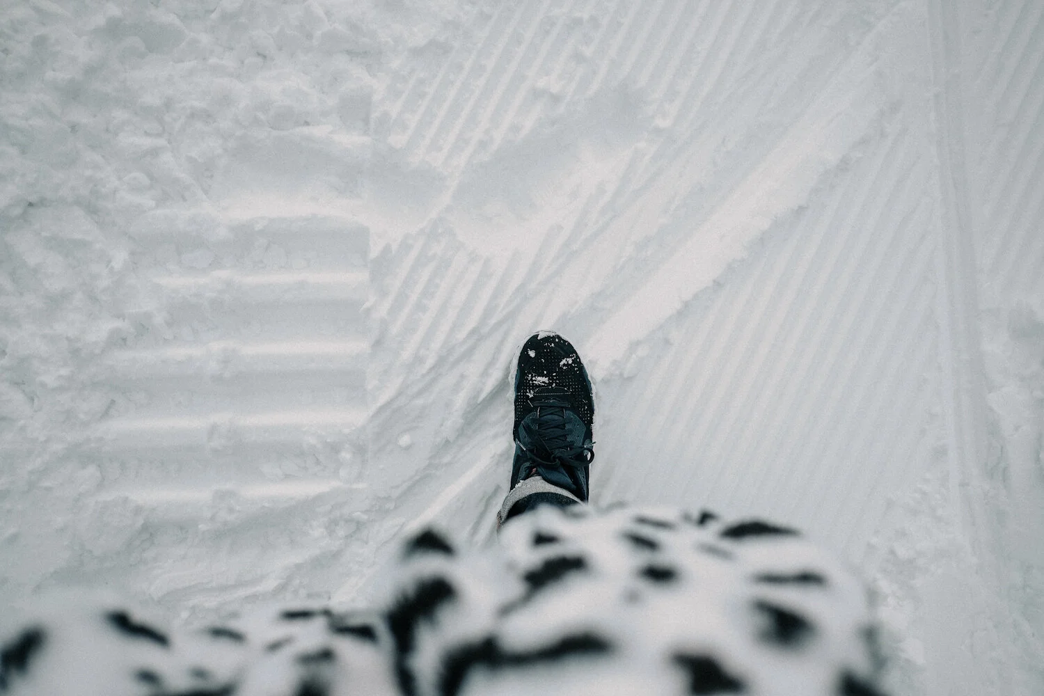 IIYAMA - 4 - FPRO4312.JPG