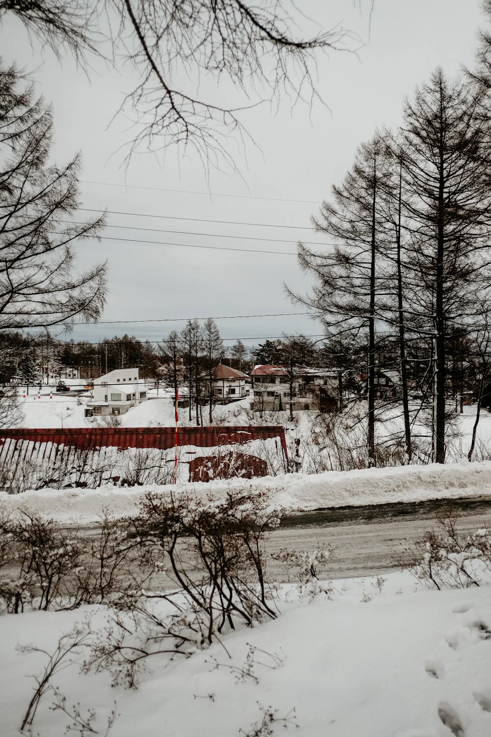 IIYAMA - 4 - FPRO4456.JPG