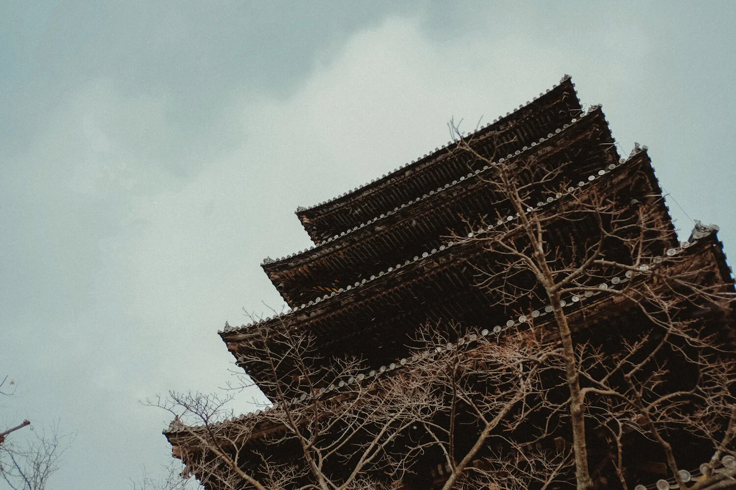 KYOTO - 2 - FPRO5092.JPG