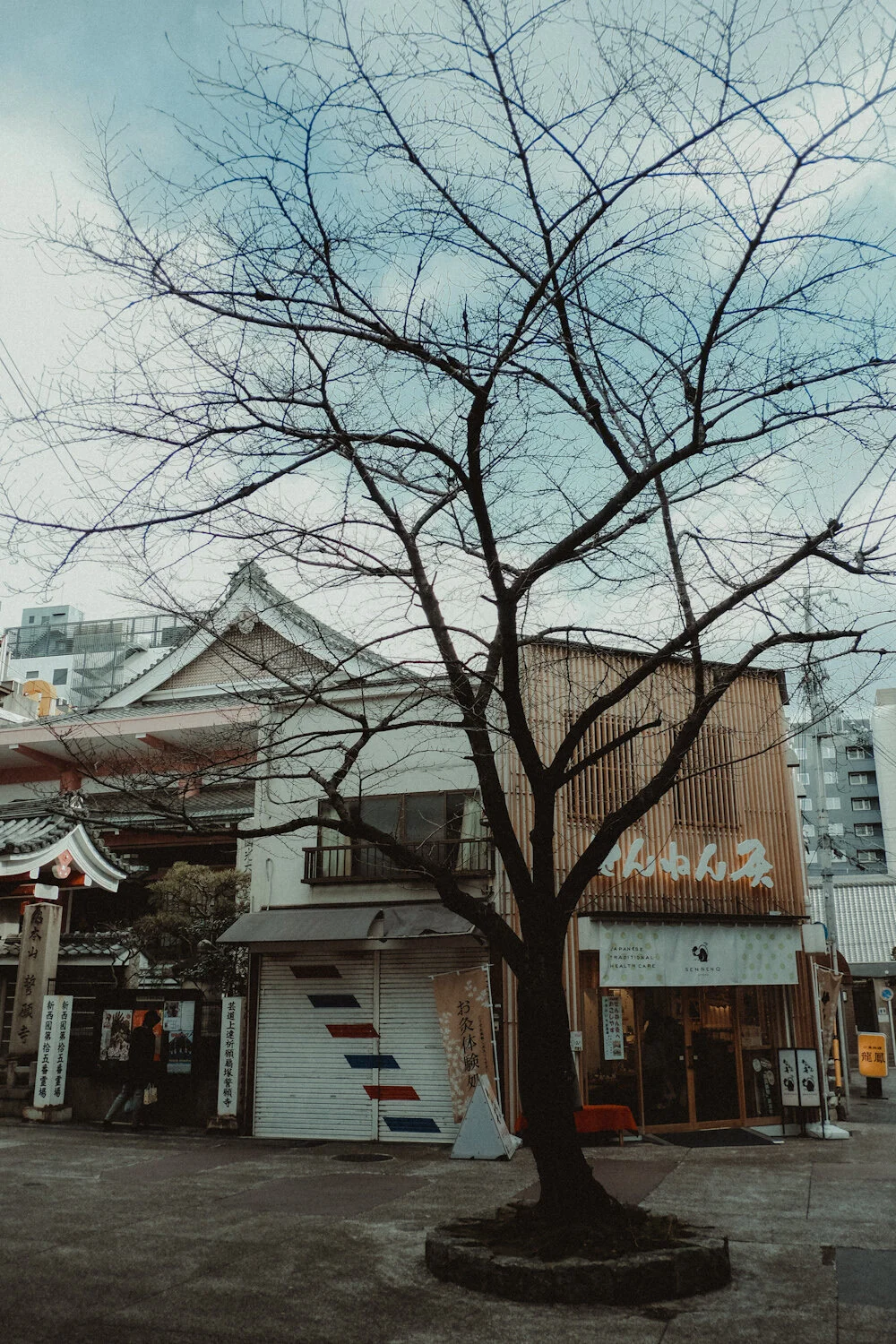 KYOTO - 1 - FPRO4888.JPG