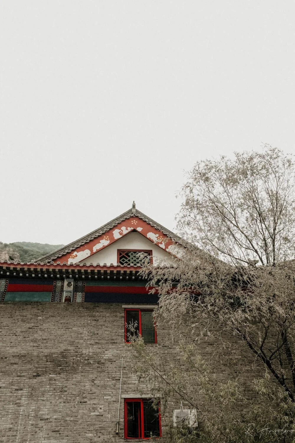 Beijing - FPRO9148.JPG