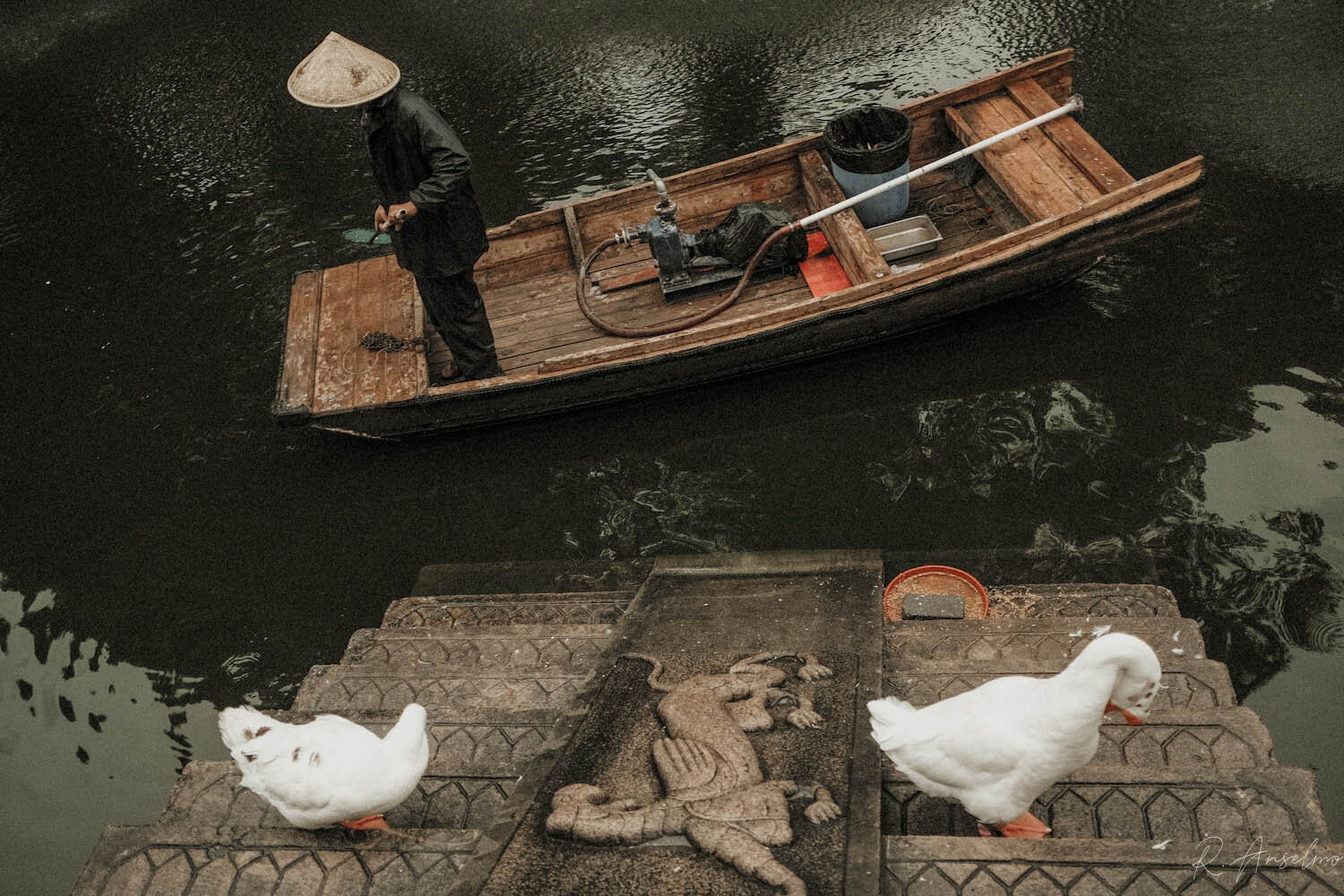 Shanghai - FPRO0007.JPG