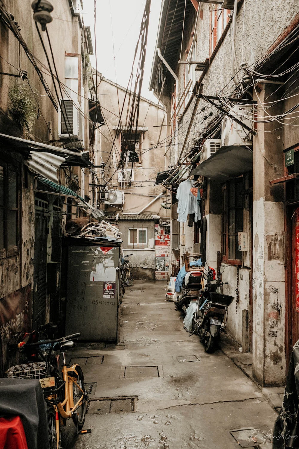 Shanghai - FPRO9880.JPG