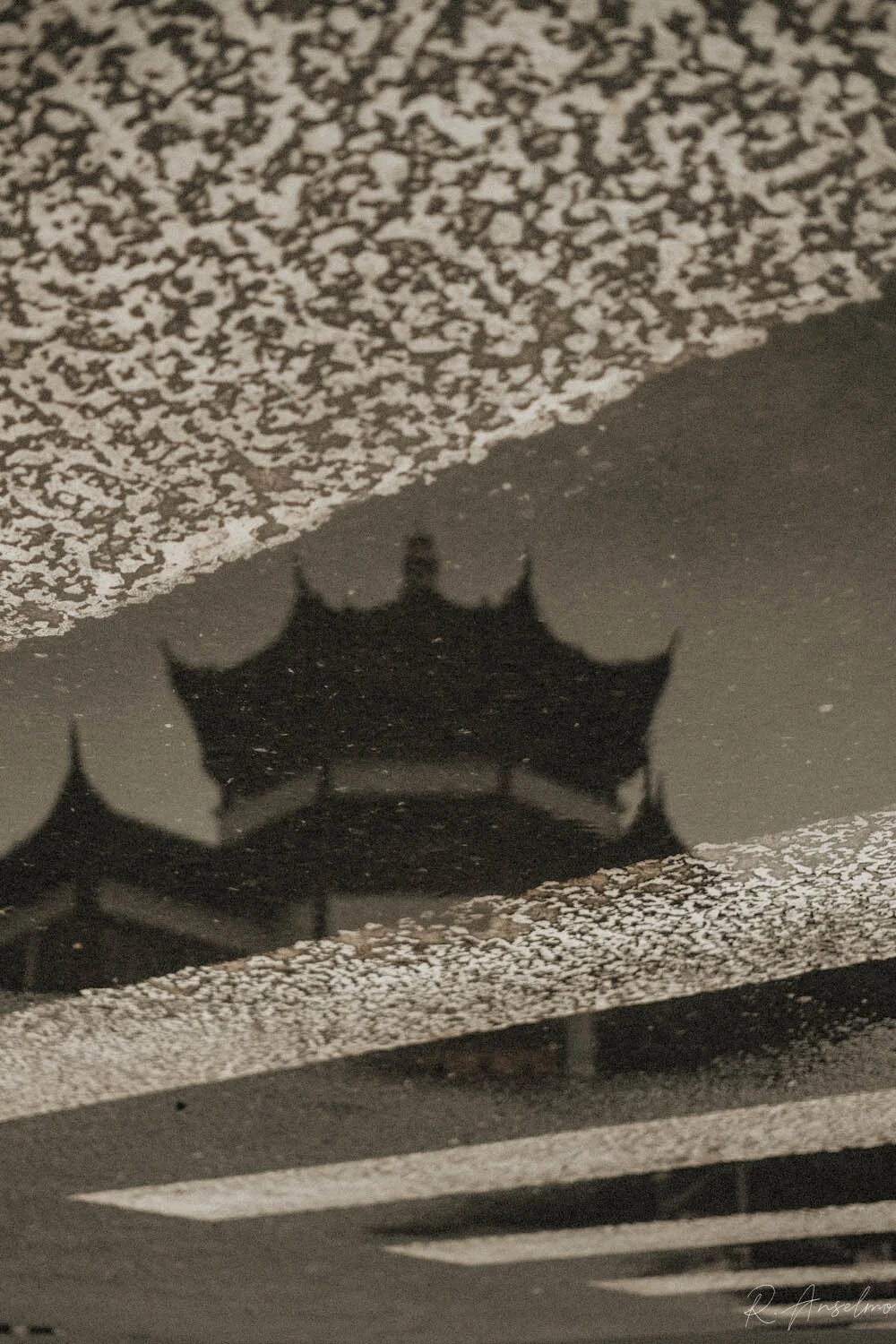 Shanghai - FPRO9940.JPG